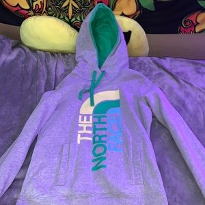 The north face sweatshirt
